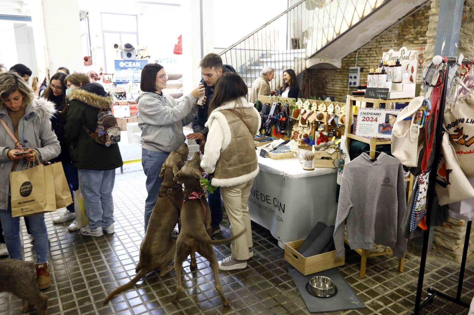 El mercado de mascotas de Zaragoza, en imágenes