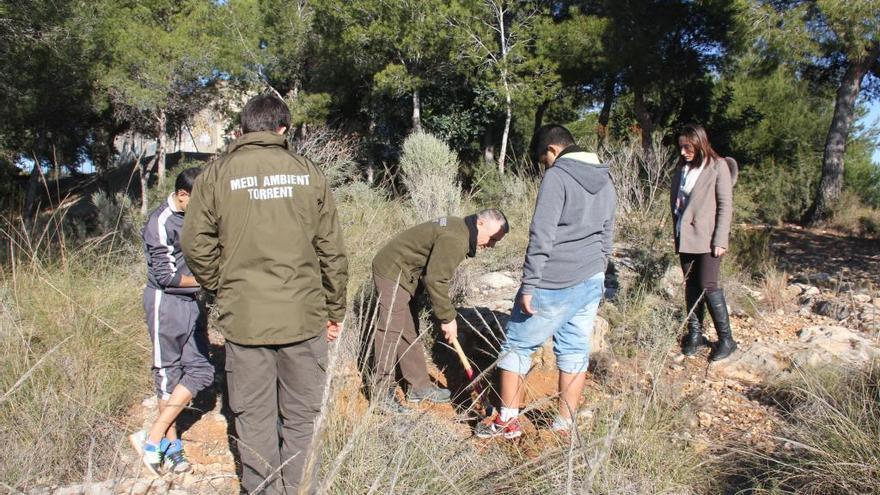 Más de 10.700 árboles para reforestar la Serra Perensixa