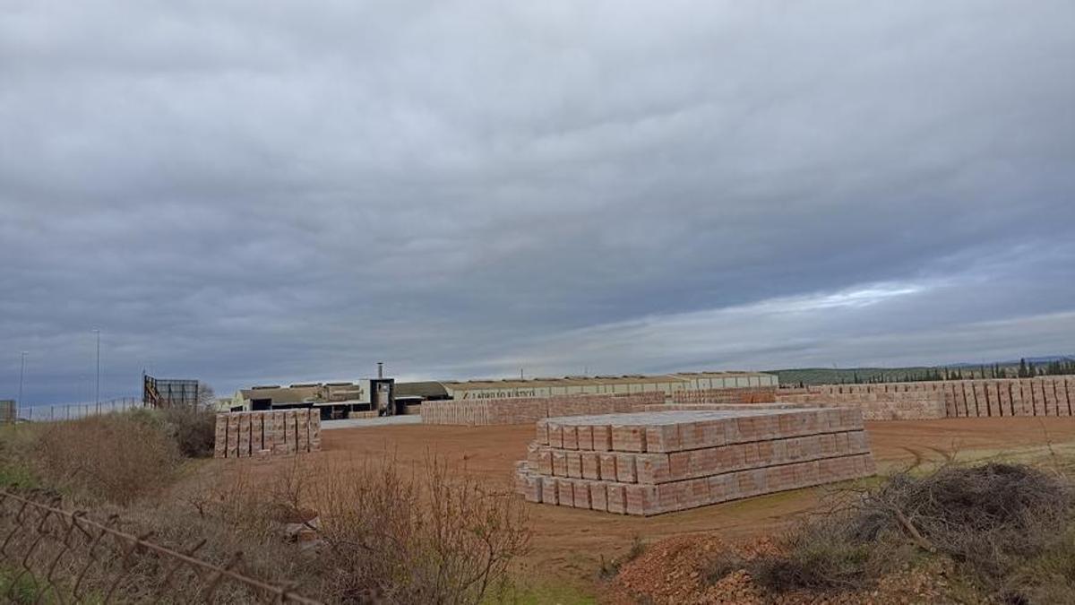 Cientos de palés de ladrillos apilados en una ladrillera de Bailén.