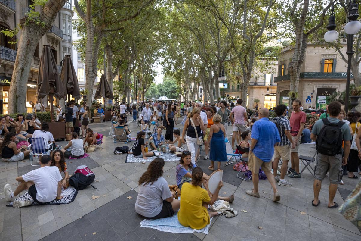 Los palmesanos recuperan el Born: "Hoy el paseo es nuestro" Los palmesanos recuperan el Born: "Hoy el paseo es nuestro"
