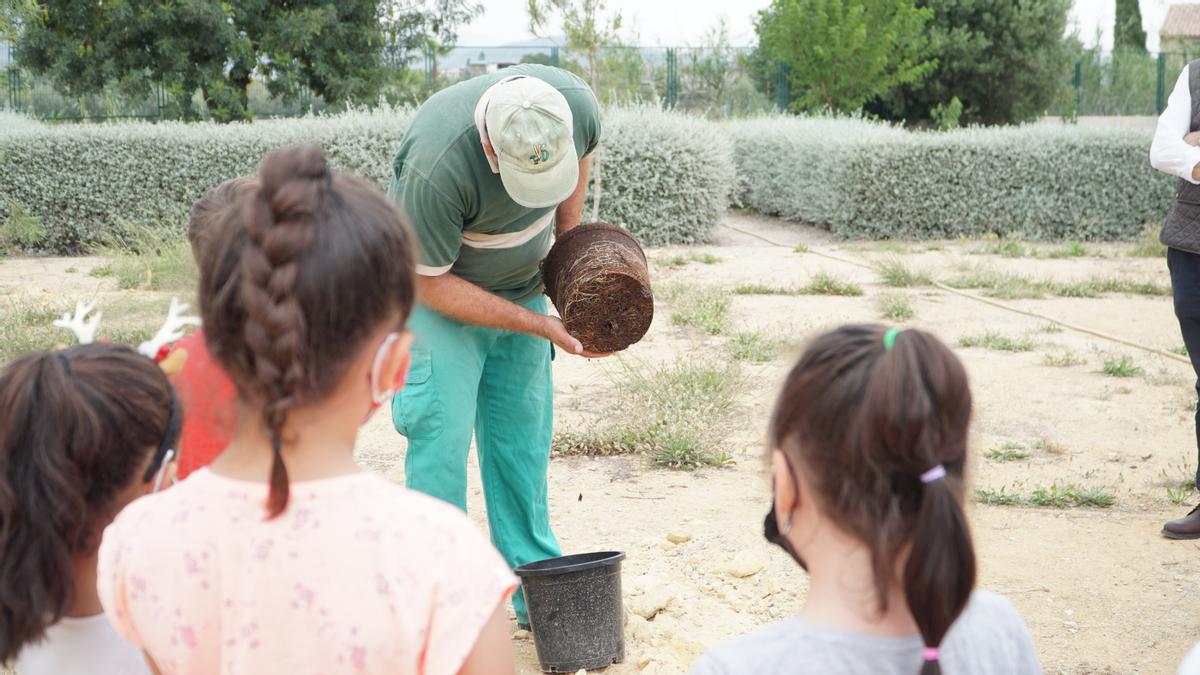 Un momento de la plantación.