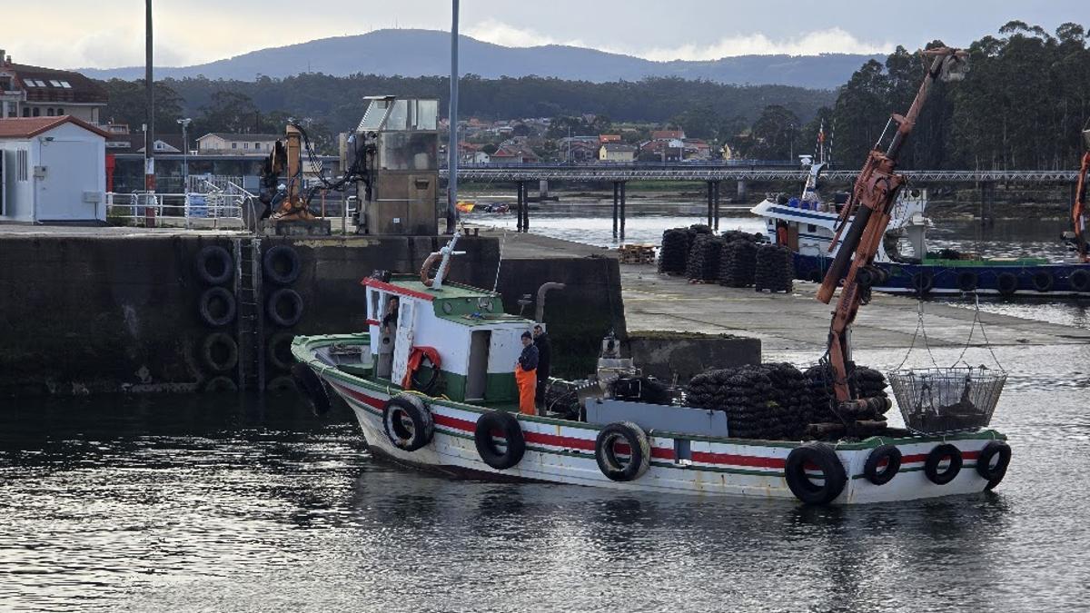 Descargas de mejillón en el muelle de Vilanova, la semana pasada.