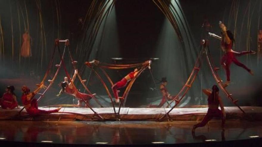 Muere un acróbata del Cirque du Soleil en pleno espectáculo en Florida