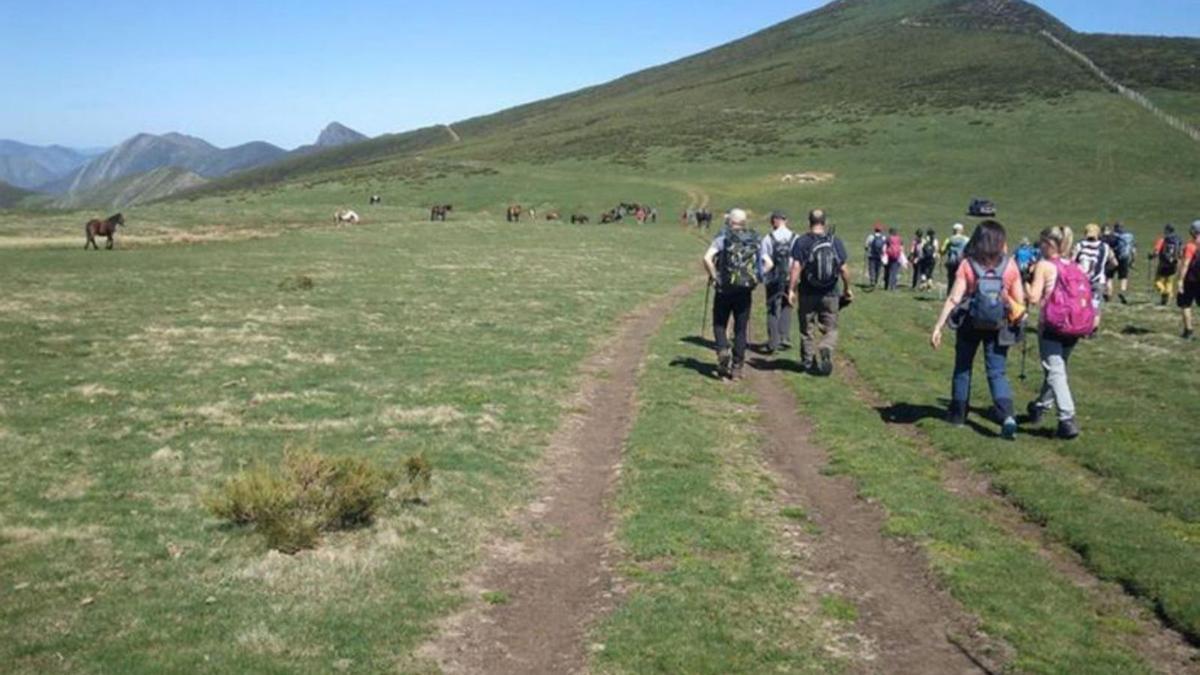 Excursión por la Calzada de la Mesa. 