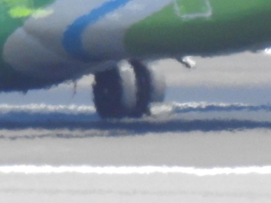 Detalles del avión del aterrizaje forzoso.