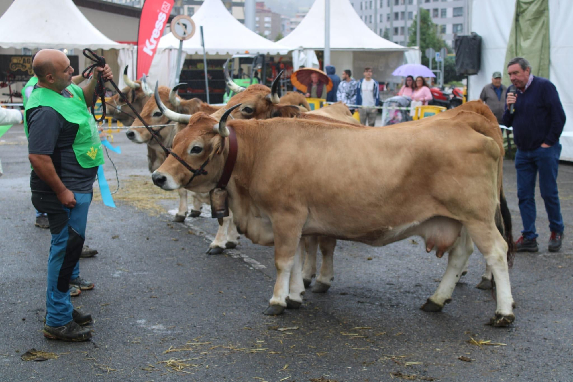 Así es Llangréu Nautral, la feria de las razas autóctonas asturianas que se celebra en pleno centro de Langreo