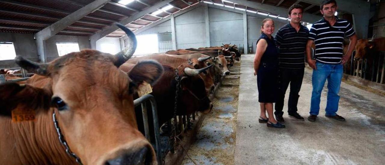 María Cecilia Fernández con los invernaderos y cultivos al fondo.