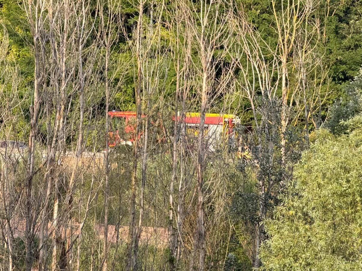 Els Bombers treballant a la llera del riu, a Sant Joan de Vilatorrada