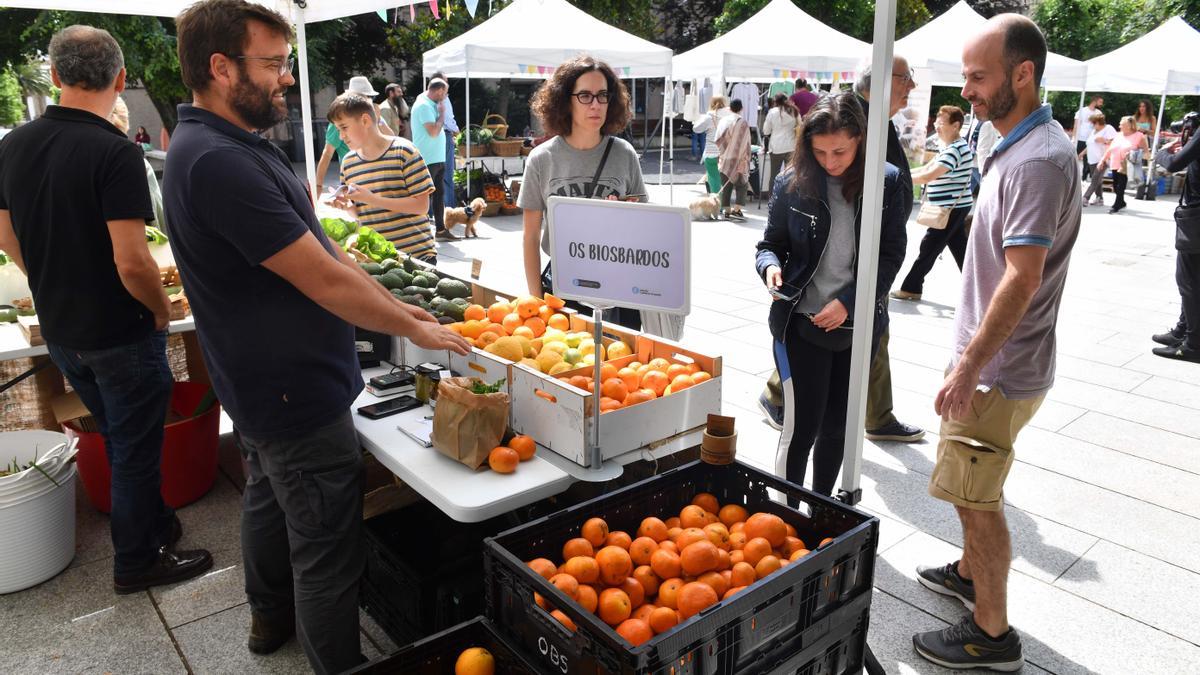 Día del Medio Ambiente