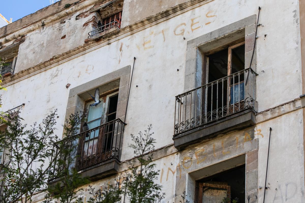 Las palomas toman un bloque abandonado en el casco antiguo de Barcelona