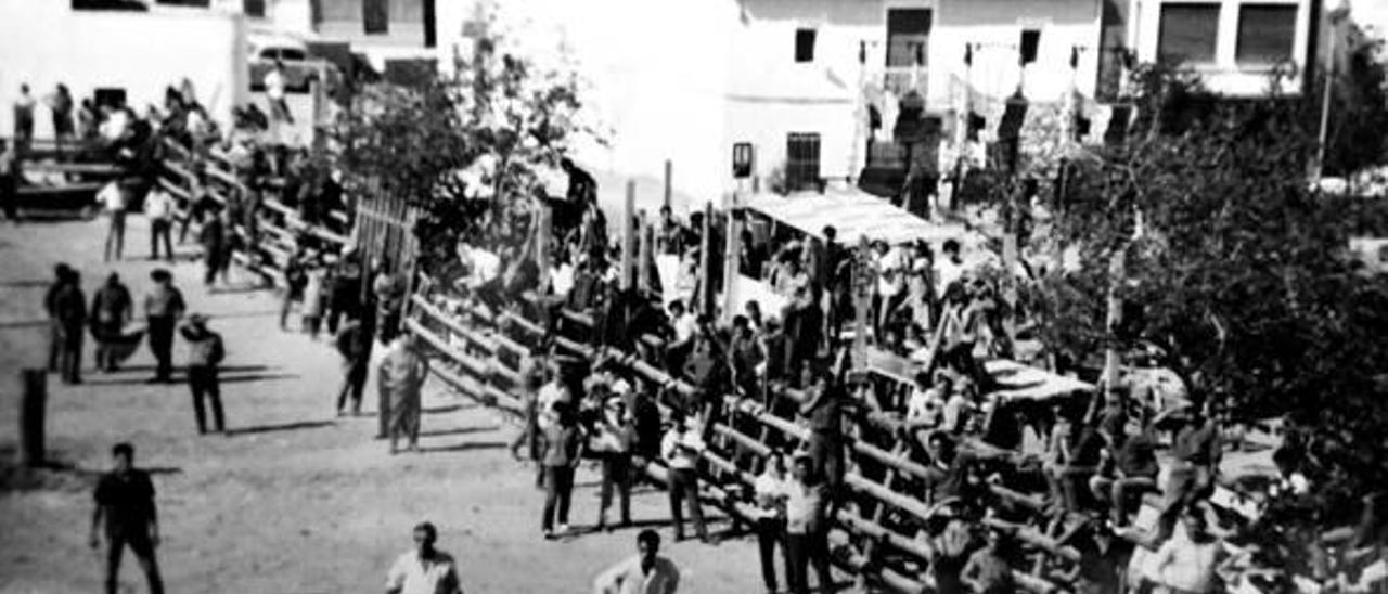 La polèmica de les corregudes de bous a Gilet