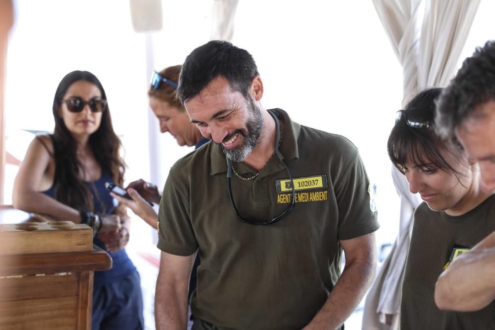 Liberadas tres tortugas en Ibiza