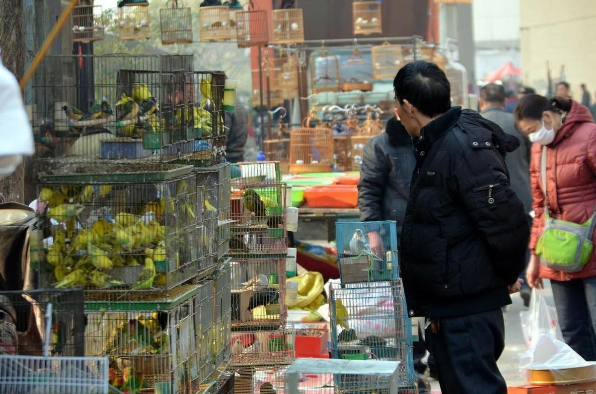 Mercado de venta de animales