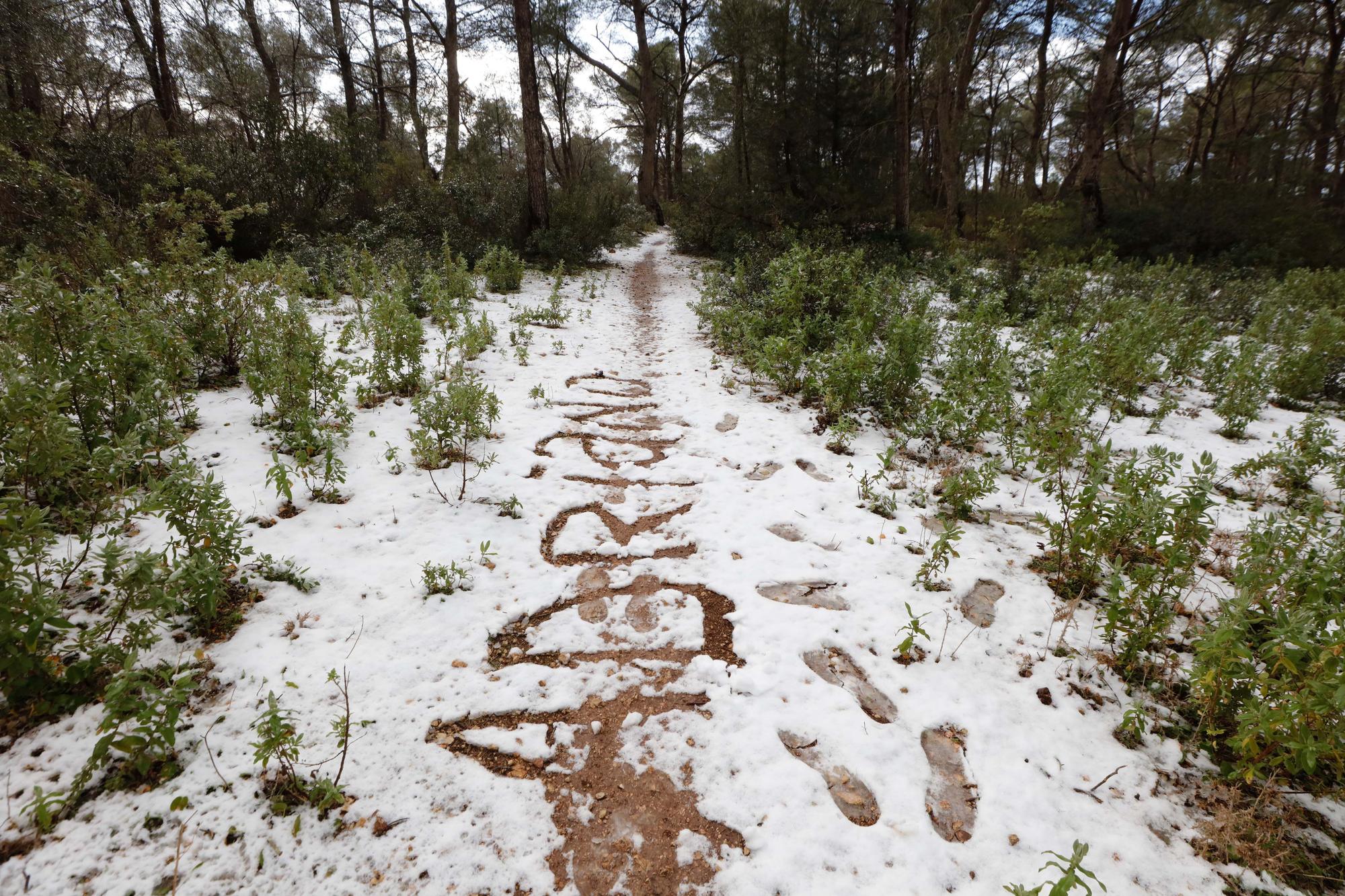 Bajada de temperaturas en Ibiza: Una manta de granizo cubre varias zonas de la isla