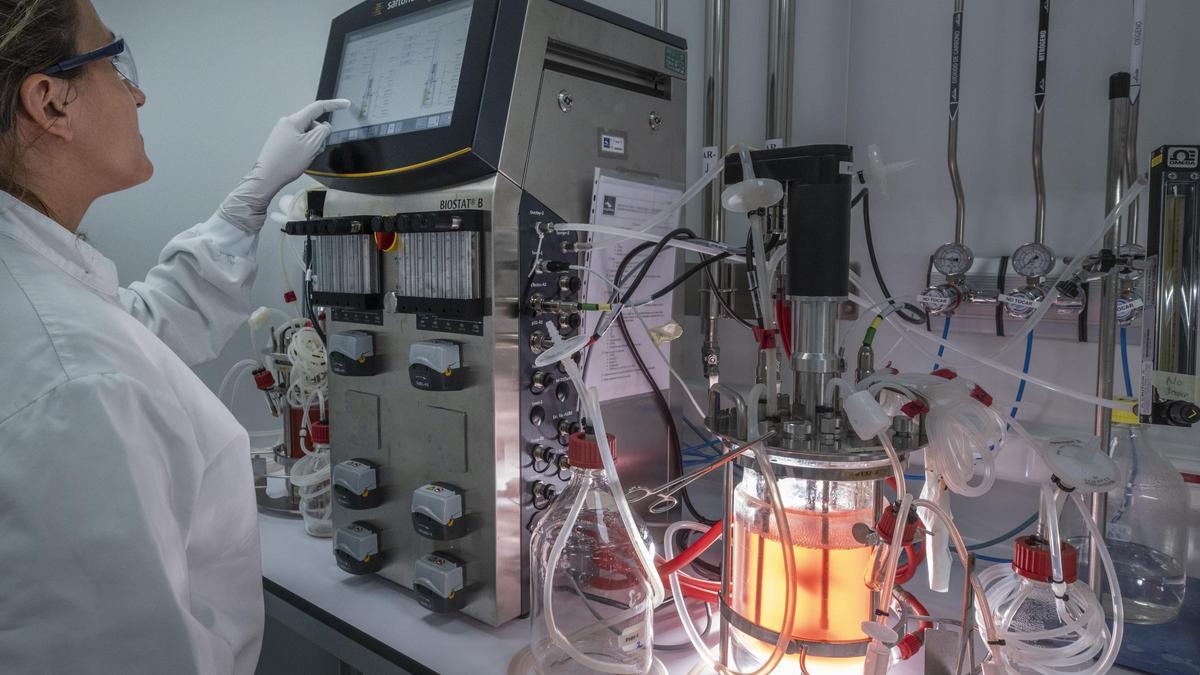 Una treballadora d'Hipra investiga en els laboratoris de l'empresa.