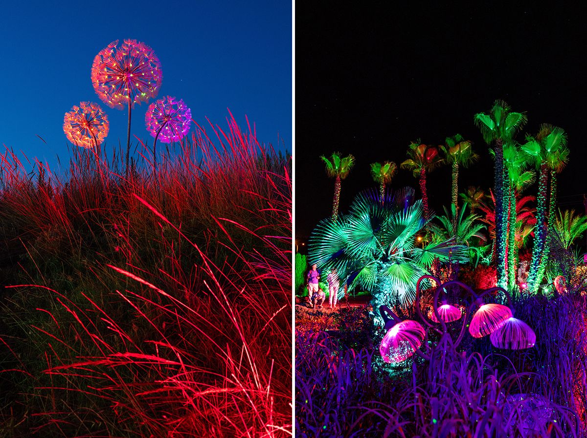 El evento Astro Magic Lights que algunas noches de verano inunda BiBo Park de luz y magia