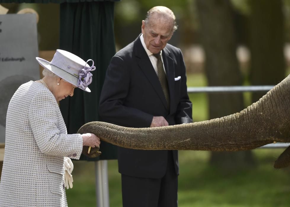 Isabel de Inglaterra da de comer a un elefante en un centro de cuidado de Reino Unido