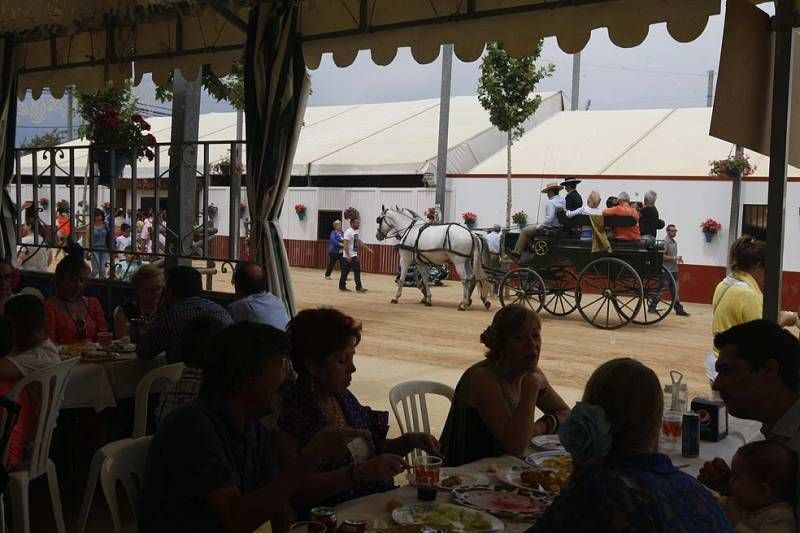 FOTOGALERÍA / DOMINGO DE FERIA EN EL ARENAL