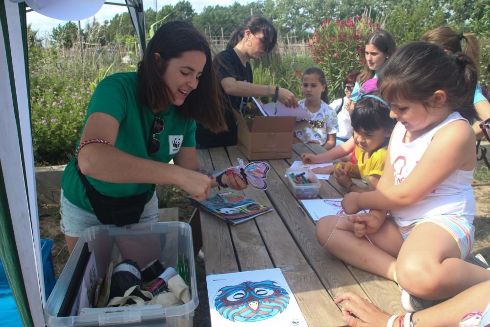 Semana del Medio Ambiente en Alaquàs