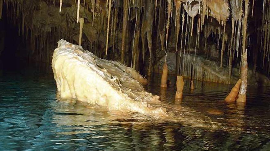 La Cova des Pall de Vallgornera finalmente ha alterado los planes; en lugar de alcantarillado habrá más fosas sépticas en la urbanización.