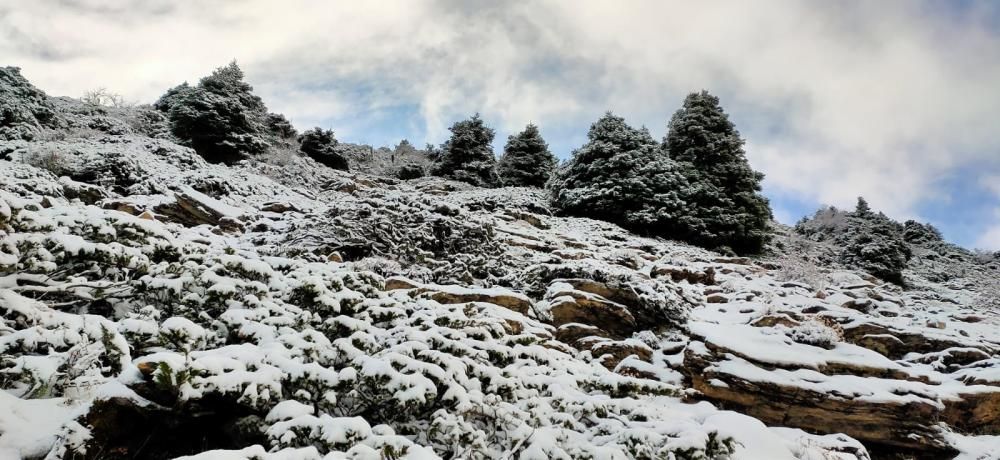 Primera nevada de la temporada en el Torrecilla.