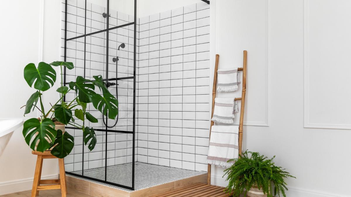 Corre a Lidl a por este increíble invento para el baño que te cambiará la vida: con un descuento del 63 por ciento