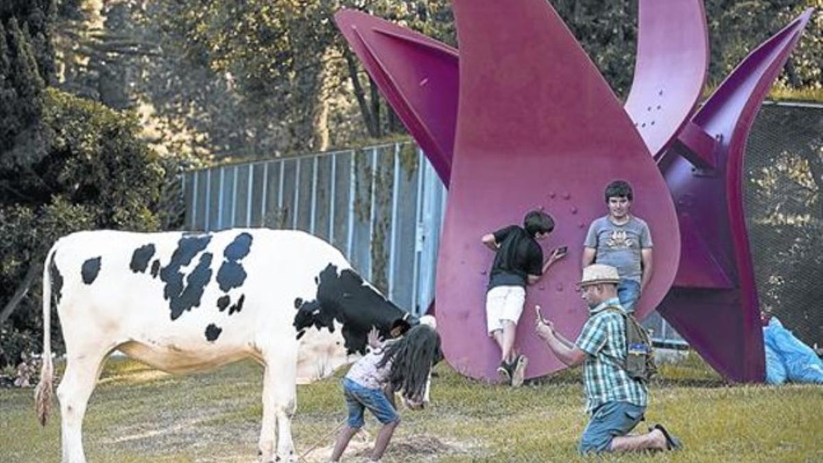 El buey que el jueves pacía en los jardines de la Fundació Miró como parte de la 'performance' con la que la institución homenajeó a Alexandre Cirici.