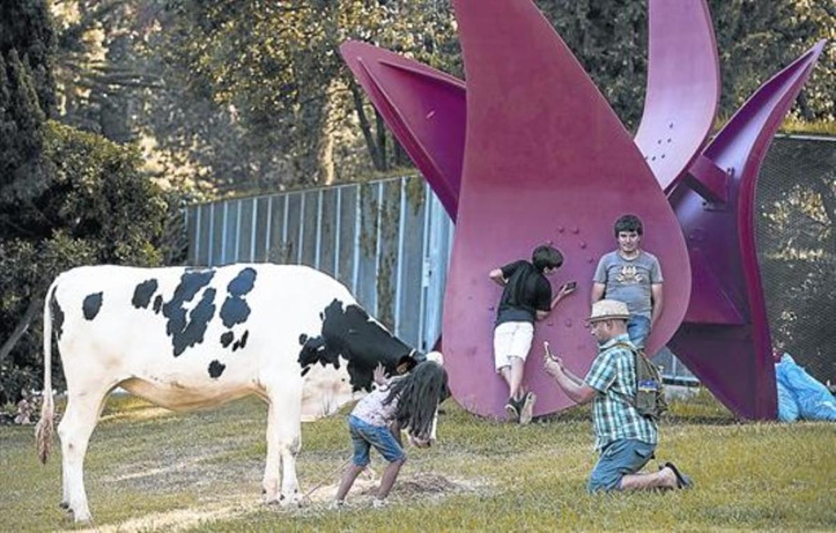 El bou que dijous pasturava als jardins de la Fundació Miró com a part de la ’performance’ amb què la institució va homenatjar Alexandre Cirici.