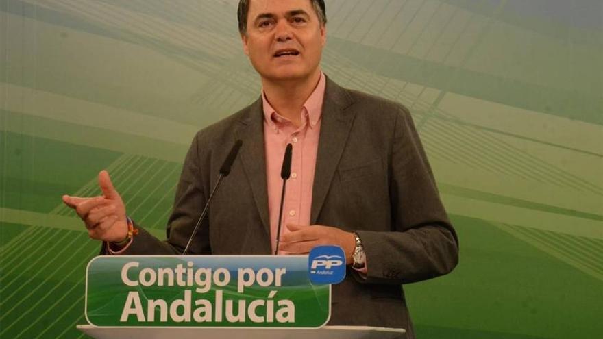 PP-A: &quot;Susana Díaz convocó elecciones pidiendo estabilidad y ahora ni siquiera puede garantizar su investidura&quot;
