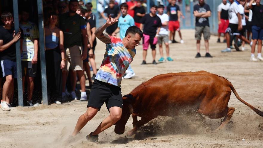 Fotogallery I Concorso di Allevamenti della Madonna della Grazia di Vila-real