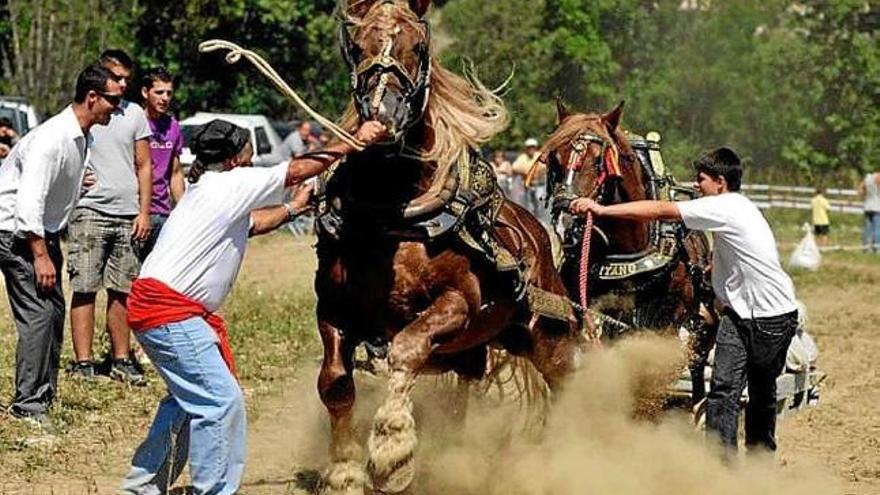 Ramaders miren de controlar uns cavalls a la Fira Ramadera