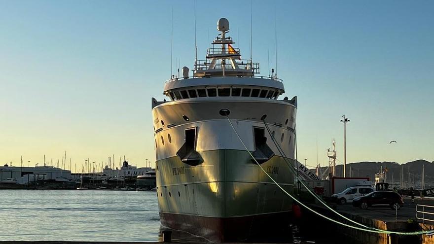 El colapso del calamar congela al menos tres proyectos de nueva inversión en buques para Malvinas