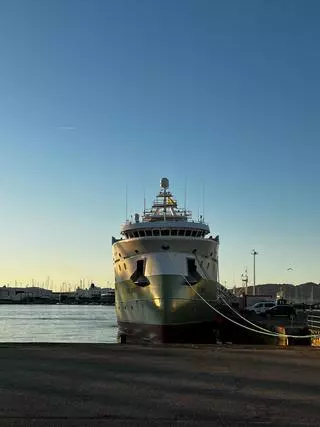 El colapso del calamar congela al menos tres proyectos de nueva inversión en buques para Malvinas