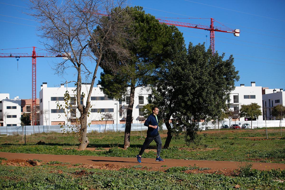 Los parques de Levante y del Flamenco ya florecen Los parques de Levante y del Flamenco ya florecen