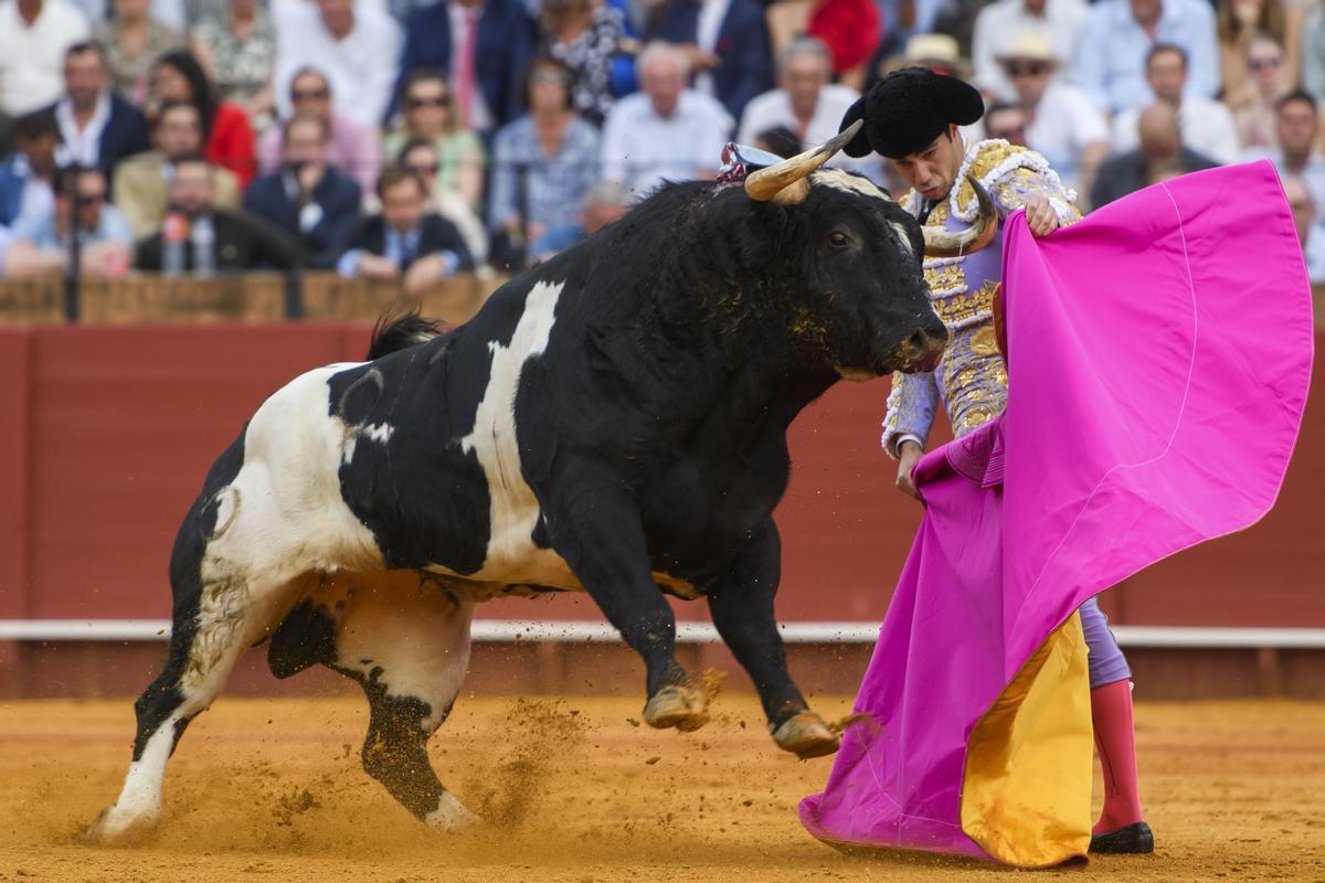 SEVILLA, 19/04/2024.- El diestro Tomás Rufo con su primer toro de la tarde en el festejo de la Feria de Abril que se celebra este viernes en la Real Maestranza de Sevilla. EFE/ Raúl Caro