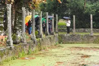 El pazo de Rubiáns presenta su gran tesoro botánico