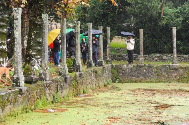 El pazo de Rubiáns presenta su gran tesoro botánico