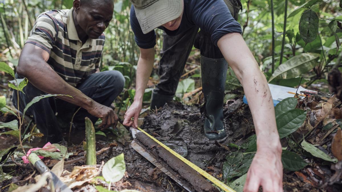 Las turberas del Congo podrían liberar millones de toneladas de CO2
