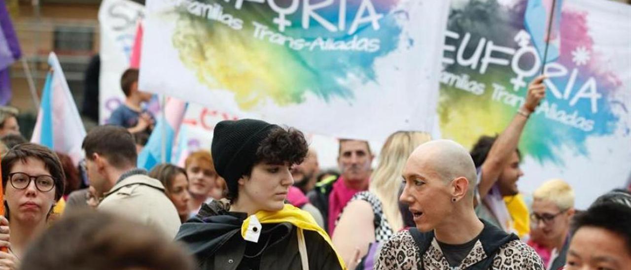 Un momento de la manifestación trans de Madrid.