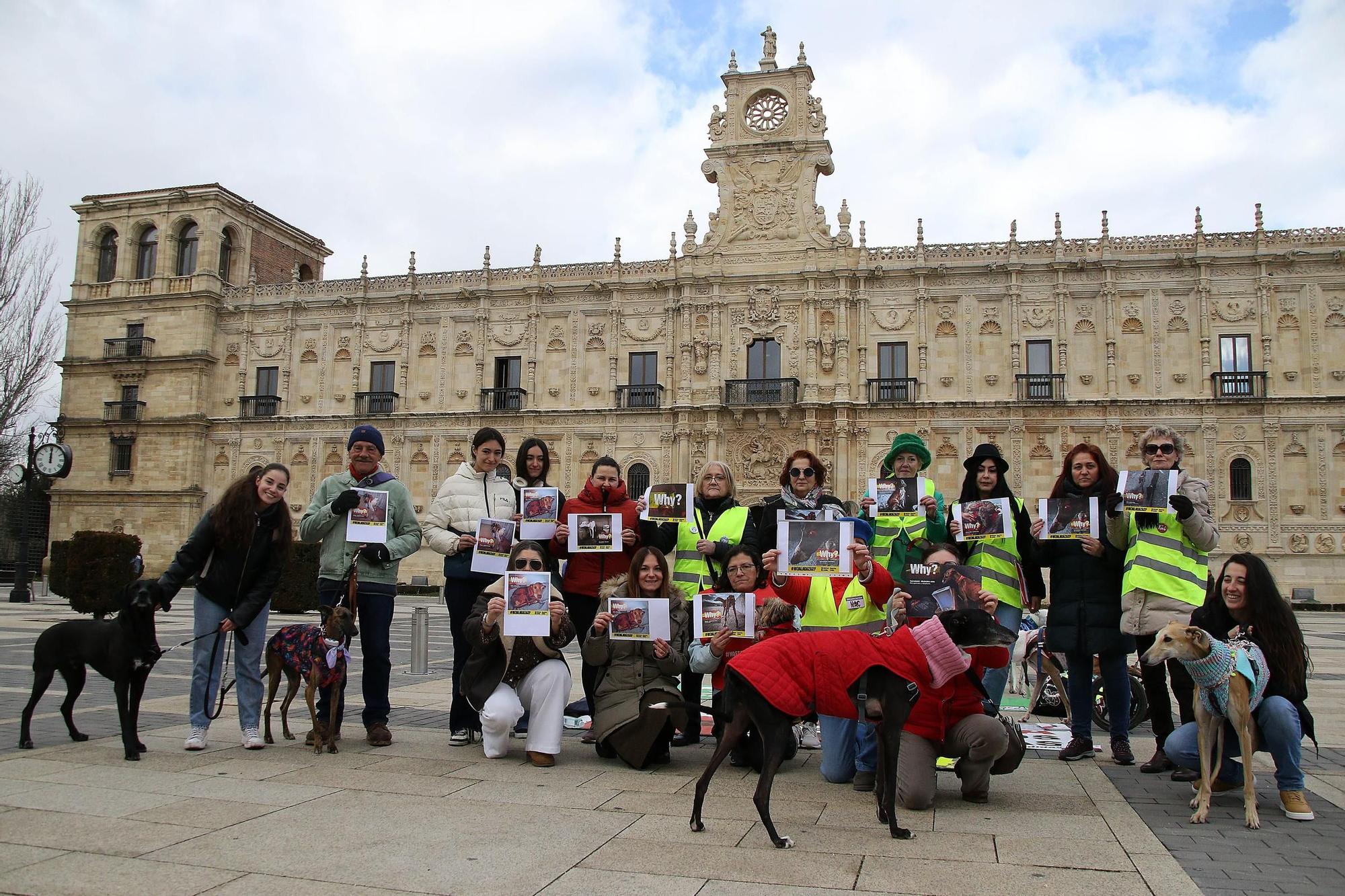 León y Valladolid se movilizan para reclamar una legislación que proteja a los perros usados en la caza