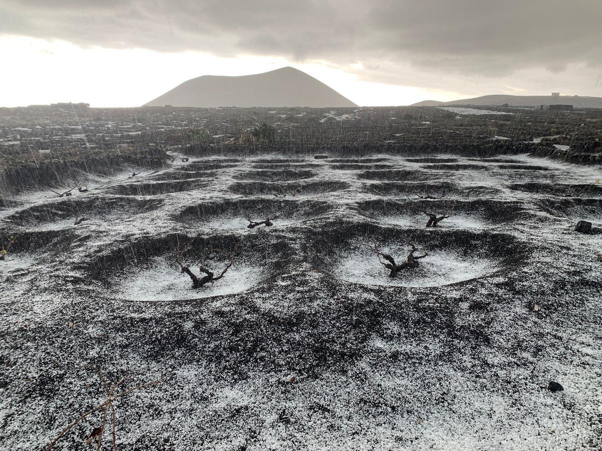 Vides con granizo en La Geria este sábado.