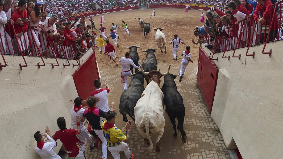 Octavo y último encierro de San Fermín con toros de la ganadería Miura