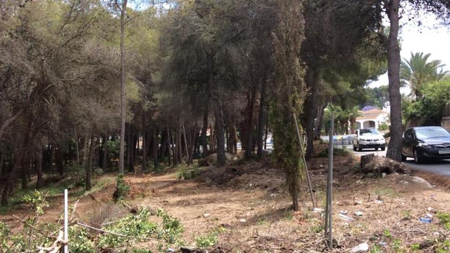 Desbrozan el gran bosque privado del Portitxol de Xàbia