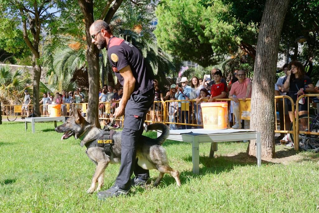 Así ha sido la Feria de los Animales en València