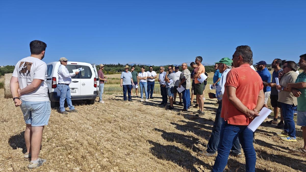 FOTOS | El campo experimental de cereales y forrajes en Maria, en imágenes