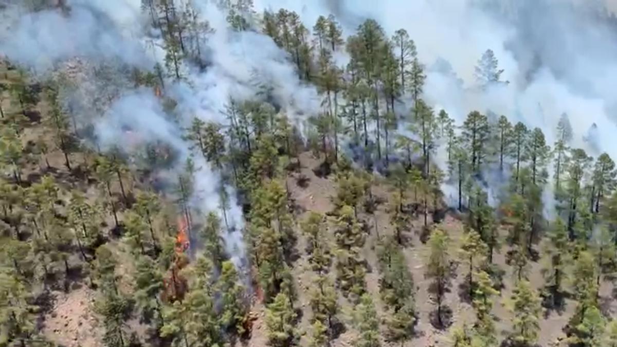 Vista desde el aire del incendio forestal en el barranco de Chajaña, en Arico, Tenerife.