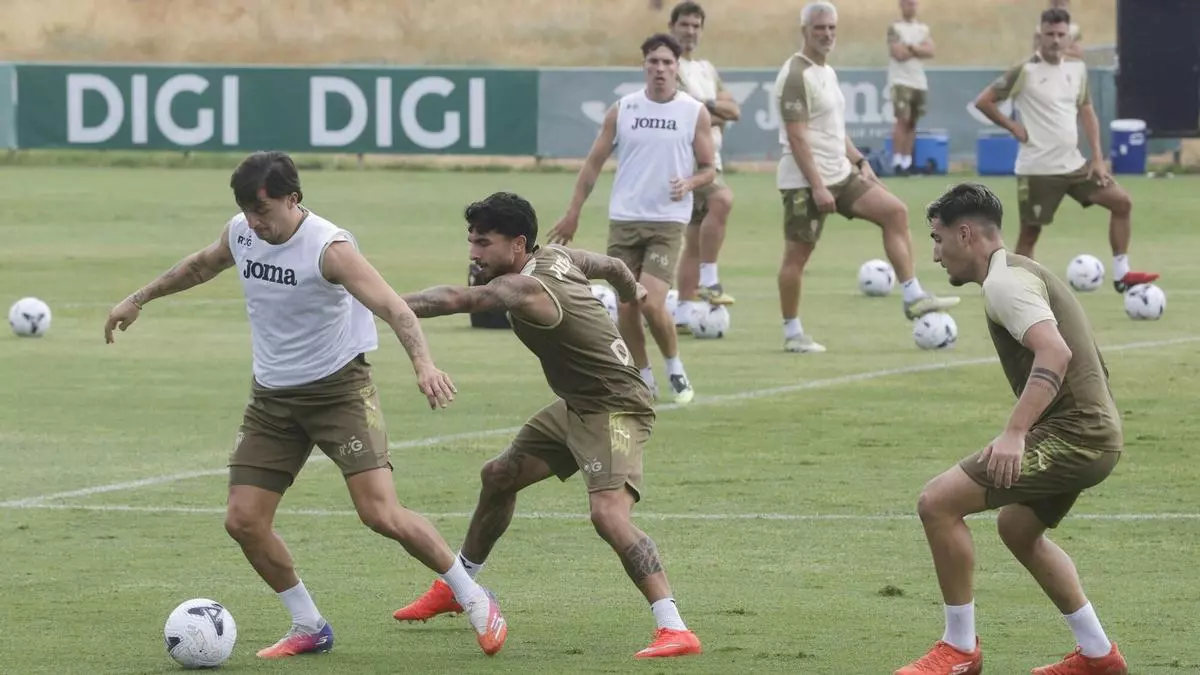 El Córdoba CF vuelve al trabajo
