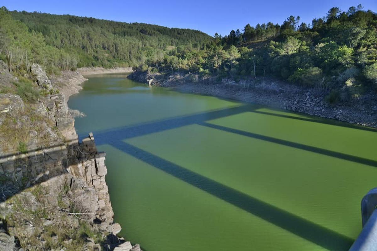 El pantano de Portodemouros, teñido  de verde en septiembre de 2021 por la microcistina.