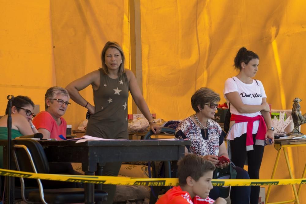 Feria de ganado en Santullano