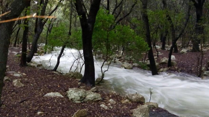 Brotan Ses Fonts Ufanes tras las lluvias de los últimos días